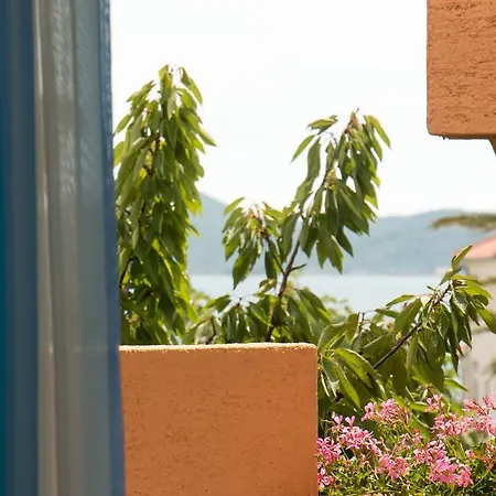 Vakantiehuis House Danka *